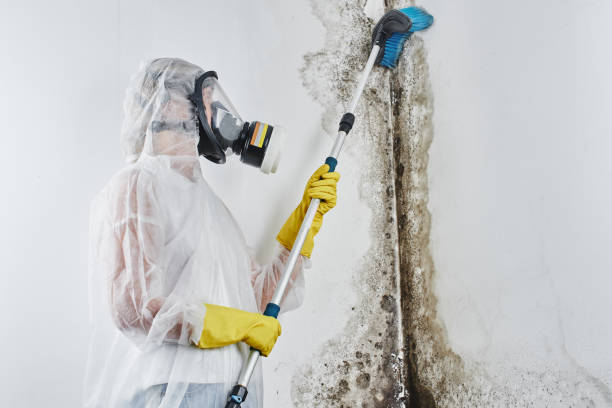 Best Asbestos and Lead Testing During Mold Inspection  in Canastota, NY